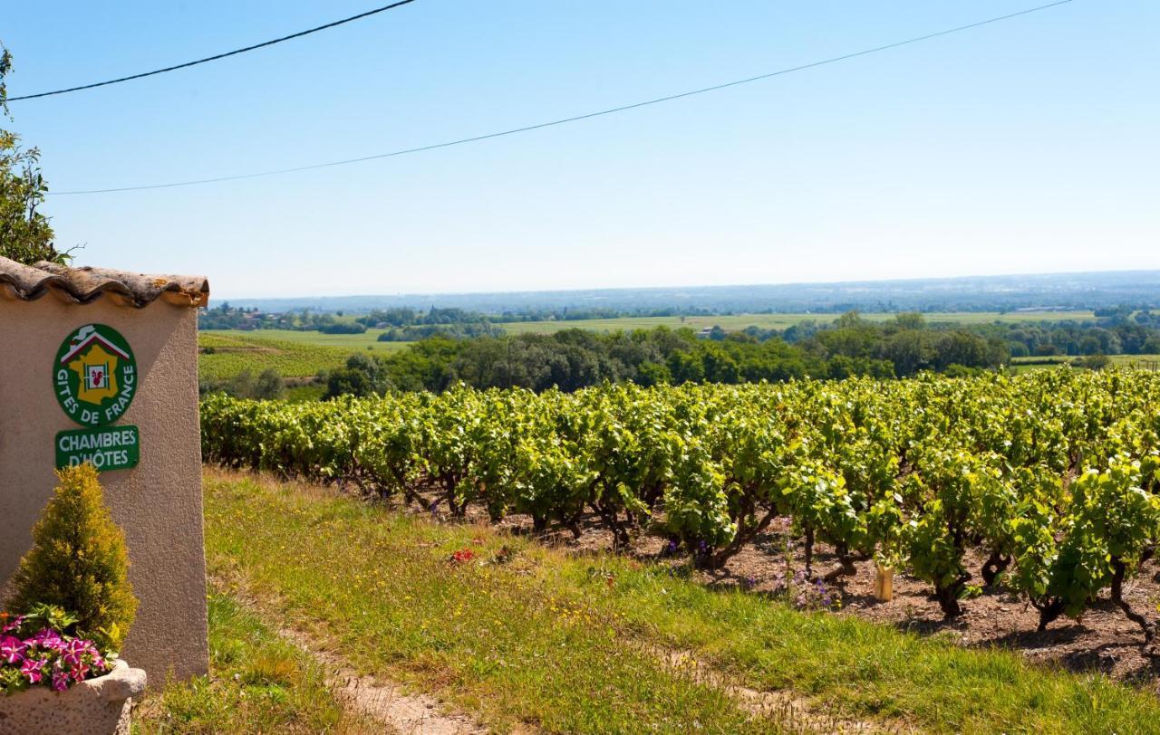 Bed and Breakfast Domaine Des Marrans Fleurie Exterior foto