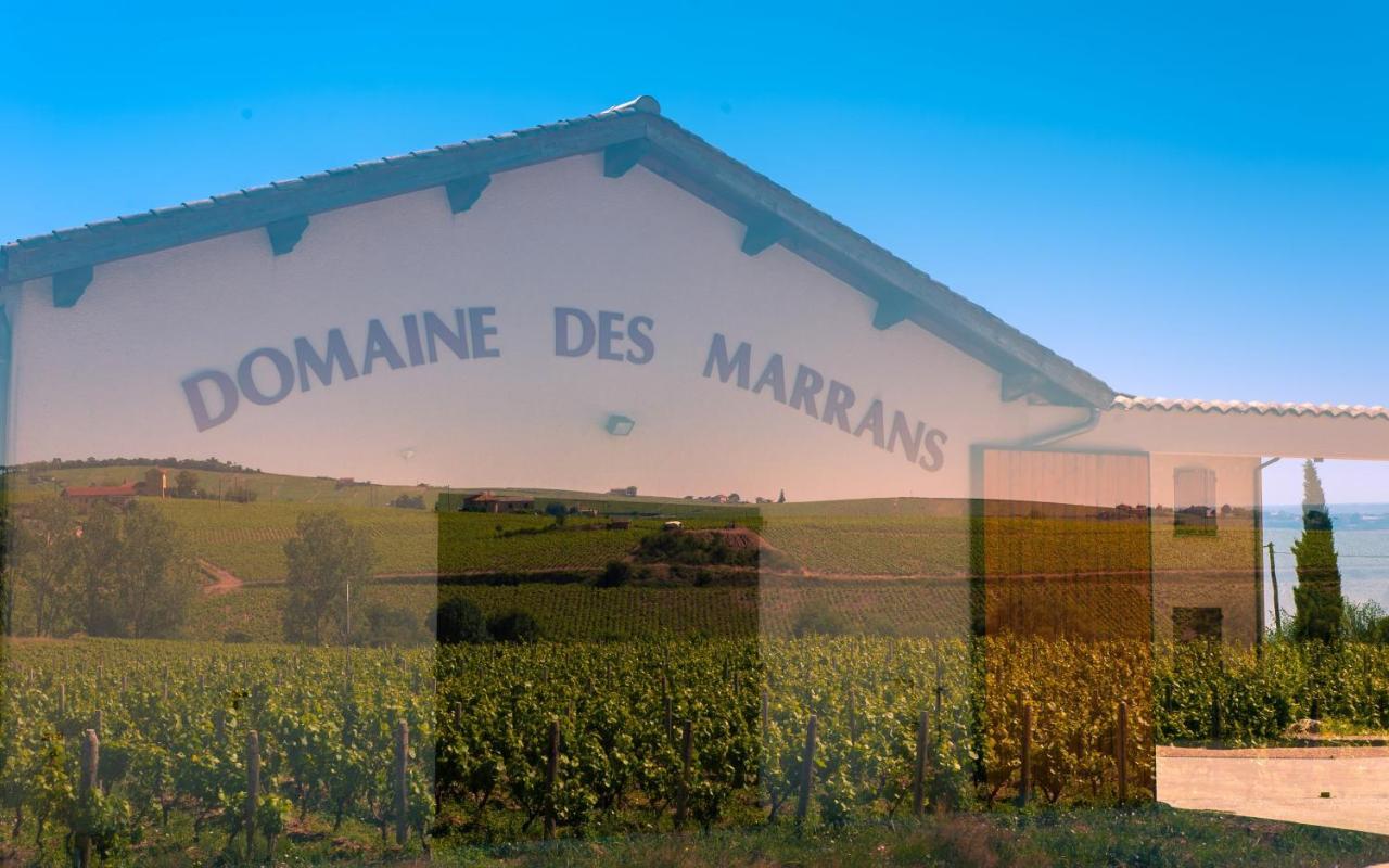 Bed and Breakfast Domaine Des Marrans Fleurie Exterior foto