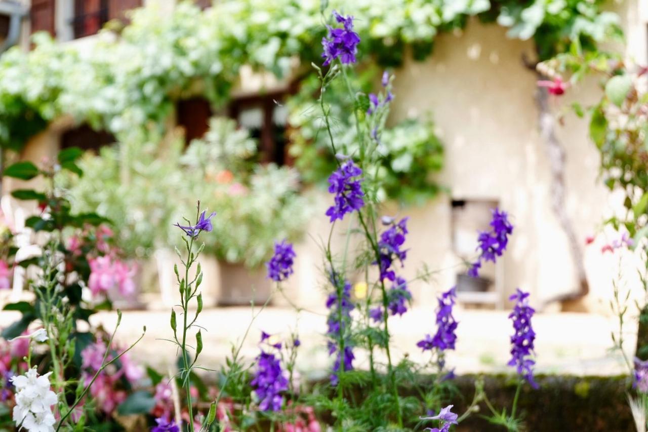 Bed and Breakfast Domaine Des Marrans Fleurie Exterior foto